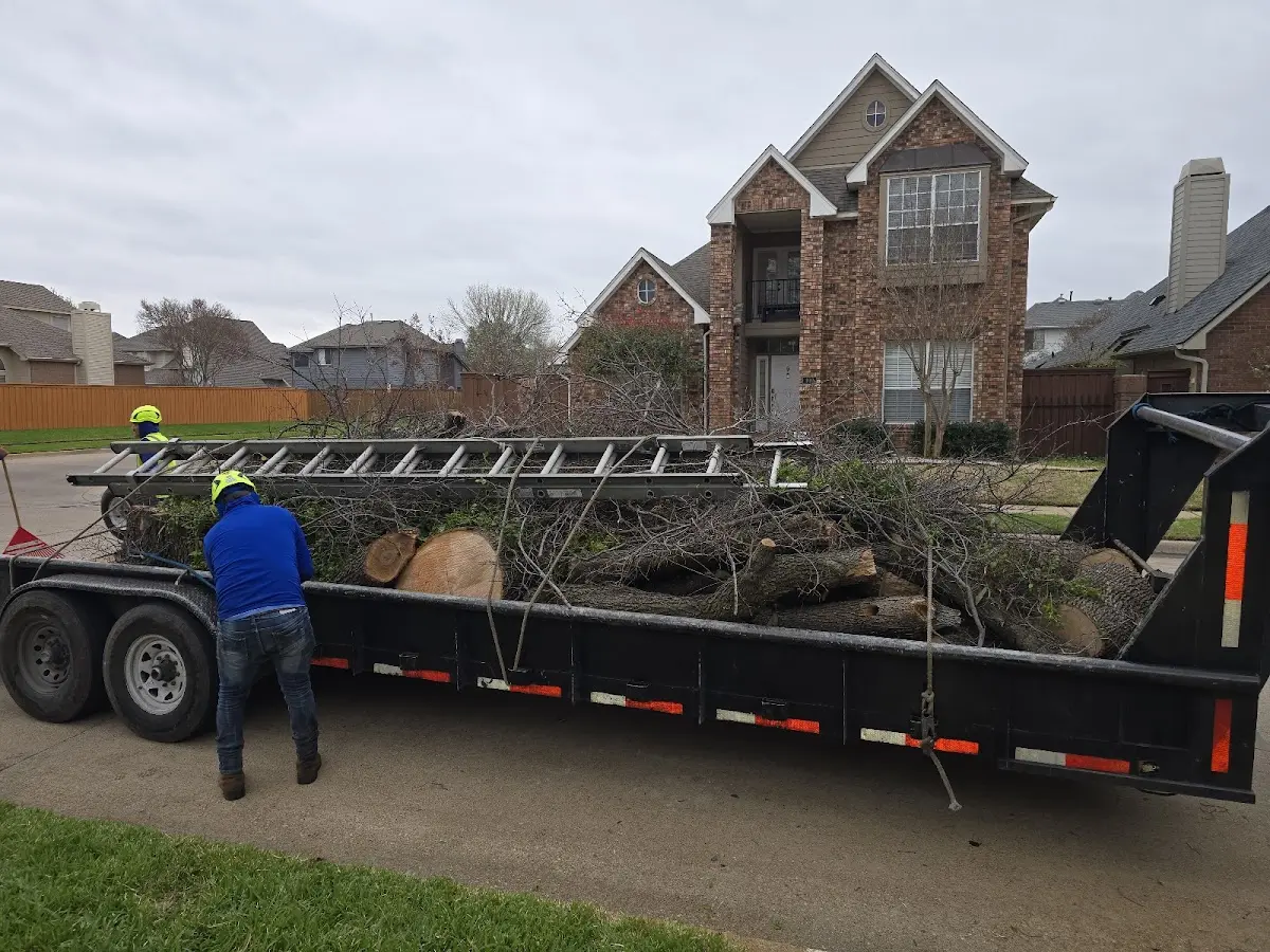 Expert Tree Removal with proper safety equipment in Elmer